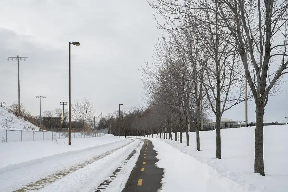 Piste enneigée bordée d’arbres, au Québec